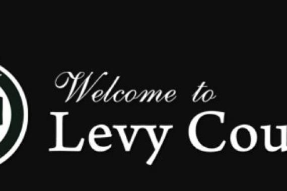 Levy County Criminal Defense Attorney